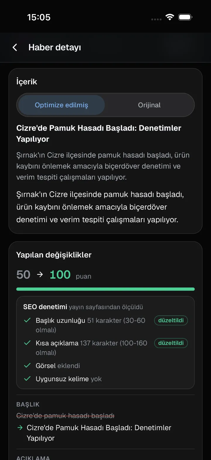 Haber detayı: içerik ve SEO